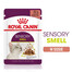 ROYAL CANIN Sensory Smell gravy 24x85 g kousky ve šťávě pro dospělé kočky