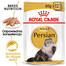 ROYAL CANIN Persian Adult Loaf 85g x24 kapsička s paštikou pro perské kočky