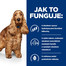HILL'S Prescription Diet Canine z/d 370 g pro potravinové intolerance