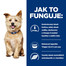 HILL'S Prescription Diet Canine k/d 1,5 kg granule pro psy s onemocněním ledvin