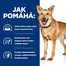 HILL'S Prescription Diet Canine i/d 360g krmivo pro psy s onemocněním zažívacího traktu