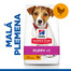 HILL'S Science Plan Canine Puppy Small & Mini Chicken 1,5 kg