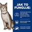 HILL'S Feline k/d 400 g