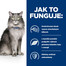 HILL'S Feline l/d 1,5kg