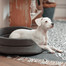 INTERZOO Pelech pro psy s polštářem oválný 53x44x16 cm šedý