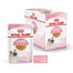 ROYAL CANIN Kitten Instinctive Jelly 12 x 85g kapsička pro koťata v želé