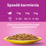 WHISKAS Adult sáček 85 g Poultry Feast mokré krmivo pro dospělé kočky v omáčce s: kuřecím masem, krůtím masem