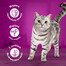 WHISKAS Adult sáček 85 g Poultry Feast mokré krmivo pro dospělé kočky v omáčce s: kuřecím masem, krůtím masem
