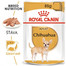 ROYAL CANIN Chihuahua Loaf 85g x48 kapsičky s paštikou pro čivavu