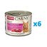 ANIMONDA Carny Adult konzervy pro kočky 6 x 200g