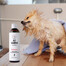 PETS Shampoo Vitamin šampon pro krátké vlasy 250 ml