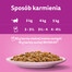 WHISKAS Adult 28x85g vlhké krmivo pro dospělé kočky v omáčce s lososem