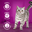 WHISKAS Adult 52x85g Vlhké krmivo Classic Meals pro dospělé kočky v omáčce s: hovězím masem, kuřecím masem