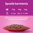 WHISKAS Adult 28x85g vlhké krmivo pro dospělé kočky v omáčce s hovězím masem