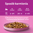 WHISKAS Junior 52x85g Vlhké krmivo pro koťata v želé s drůbežím masem: kuřecí maso, krůtí maso