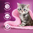 WHISKAS Junior 52x85g Vlhké krmivo pro koťata v želé s drůbežím masem: kuřecí maso, krůtí maso