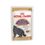 ROYAL CANIN British Shorthair Gravy 48 x 85g kapsička pro britské krátkosrsté kočky ve šťávě
