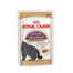 ROYAL CANIN British Shorthair Gravy 24x 85g kapsička pro britské krátkosrsté kočky ve šťávě