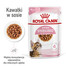 ROYAL CANIN Kitten Sterilised In Gravy 48 x 85 g