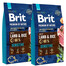 BRIT Premium By Nature Sensitive Lamb 2 x 8 kg