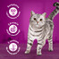 WHISKAS Adult 48x85g Krémové varianty vlhkého krmiva pro dospělé kočky v omáčce s: kuřecím masem a zeleninou, jehněčím masem a krůtím masem