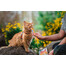 INABA Churu Cat Chicken 4x14g