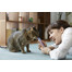 INABA Churu Cat Kuře s krevetami 4x14g