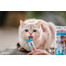 INABA Churu Cat Tuna with Scallop 4x14g
