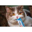 INABA Churu Cat Chicken & Crab 4x14g