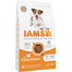 IAMS ProActive Health Adult Small & Medium Breed Chicken 3 kg
