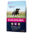 EUKANUBA Developing Junior Large Breed 3 kg