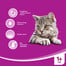 WHISKAS kapsa losos v omáčce 100 g