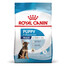 ROYAL CANIN Maxi Puppy 15 kg granule pro štěňata velkých plemen