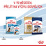 ROYAL CANIN Maxi Puppy 15 kg granule pro štěňata velkých plemen
