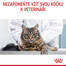 ROYAL CANIN Digestive care 10 kg granule pro kočky na podporu zdravého trávení