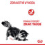 ROYAL CANIN Digestive care 10 kg granule pro kočky na podporu zdravého trávení