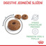 ROYAL CANIN Digestive care 10 kg granule pro kočky na podporu zdravého trávení