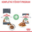 ROYAL CANIN Digestive care 10 kg granule pro kočky na podporu zdravého trávení