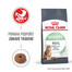 ROYAL CANIN Digestive care 10 kg granule pro kočky na podporu zdravého trávení