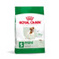 ROYAL CANIN Mini Adult 8 kg granule pro dospělé psy malých plemen