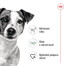 ROYAL CANIN Mini Adult 4kg granule pro dospělé psy malých plemen