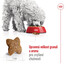 ROYAL CANIN Mini Adult 4kg granule pro dospělé psy malých plemen