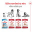 ROYAL CANIN Medium Adult 4kg granule pro dospělé psy středních plemen starší 12 měsíců