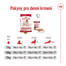 ROYAL CANIN Medium Adult 4kg granule pro dospělé psy středních plemen starší 12 měsíců