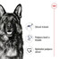 ROYAL CANIN Maxi Adult 15 kg granule pro dospělé  psy velkých  plemen starší 15 měsíců