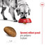ROYAL CANIN Maxi Adult 15 kg granule pro dospělé  psy velkých  plemen starší 15 měsíců