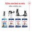 ROYAL CANIN Maxi Adult 15 kg granule pro dospělé  psy velkých  plemen starší 15 měsíců