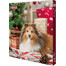 TRIXIE Adventní kalendář pro psy 380g