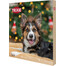 TRIXIE Adventní kalendář pro psy 380g