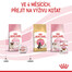 ROYAL CANIN Instinctive babycat 195 g Can konzerva pro kojící kočky a koťata